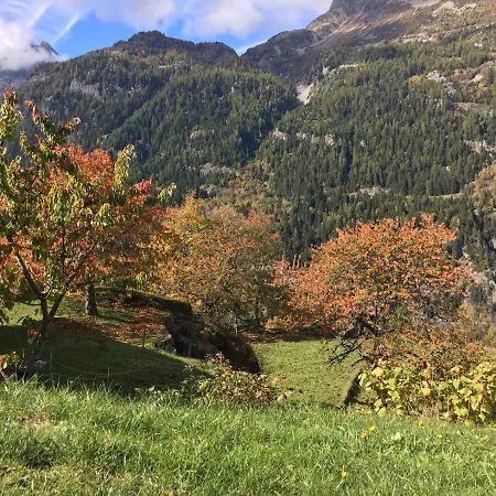 Chalet Le Trient