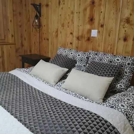 Chalet Le Trient